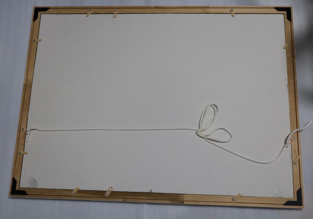 d#️⃣#️⃣ 木之本桜　ジグソーパズル　【カードキャプターさくら】