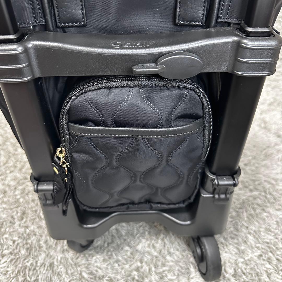 SWANY スワニー　キャリーバッグ D-589 プーフォ TS18