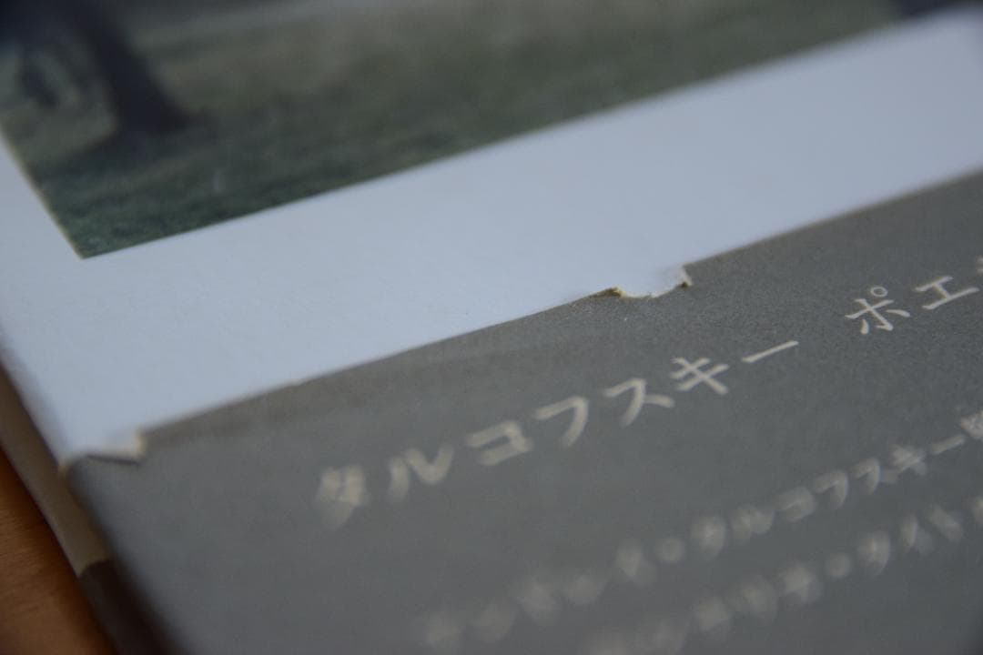 アルセーニイ・タルコフスキー詩集 『白い、白い日』