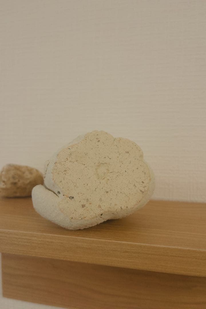 幸生窯 猫3匹 置物