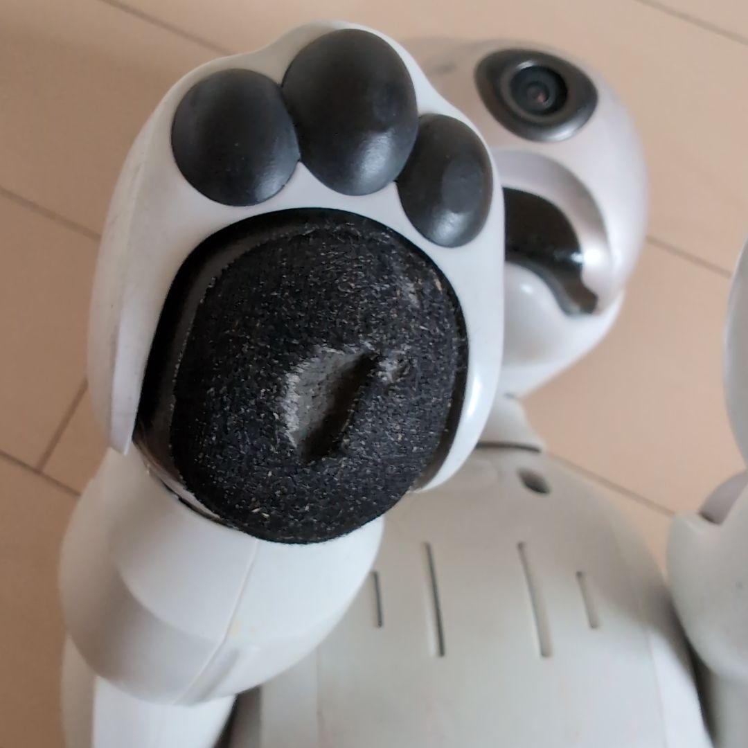 その他 SONY AIBO ERS-1000