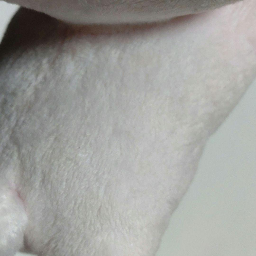 浅野いにお ソラニン バッテンうさぎ ぬいぐるみ キーホルダー 初期 レア