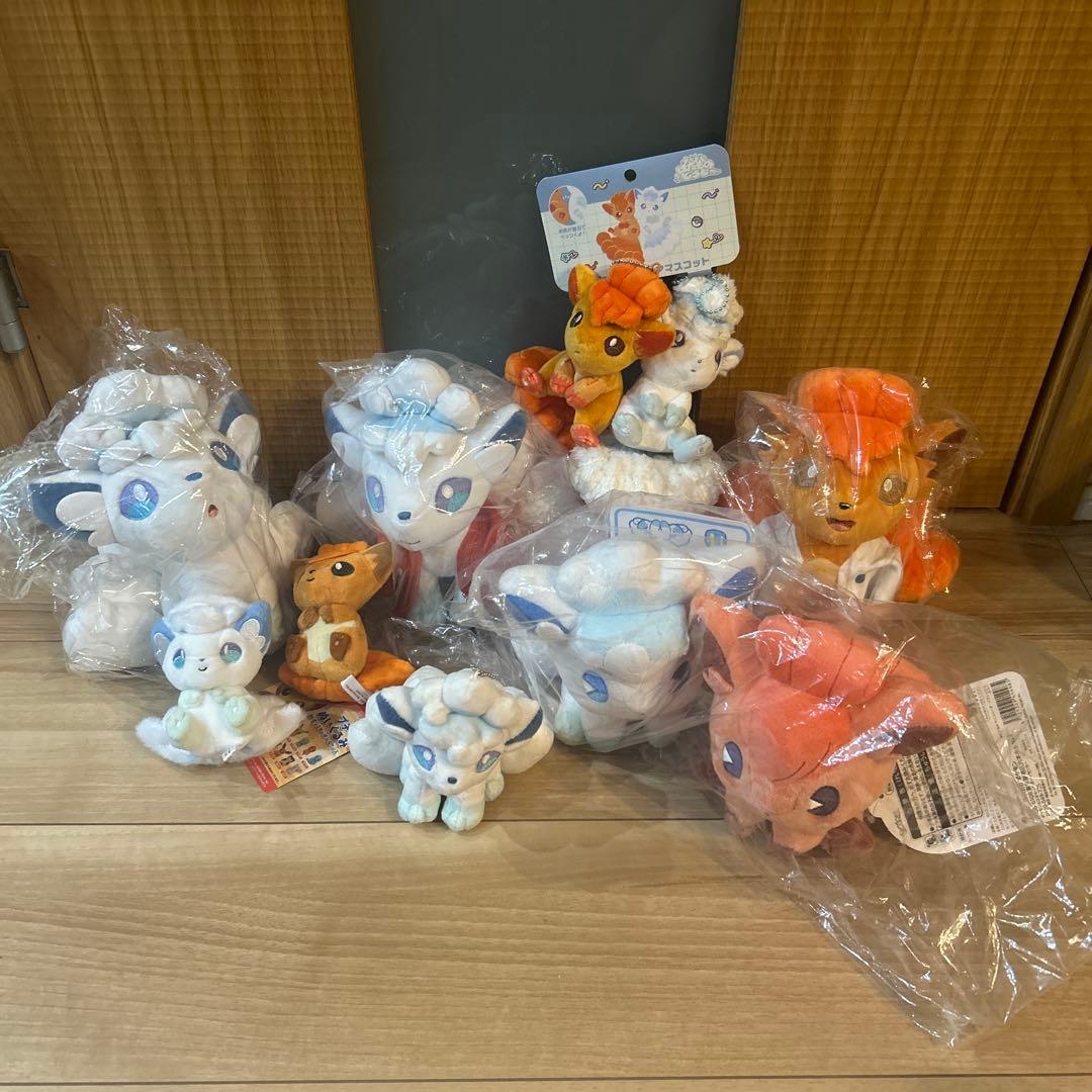 ポケモン ぬいぐるアローラロコン ロコン まとめ売り セット