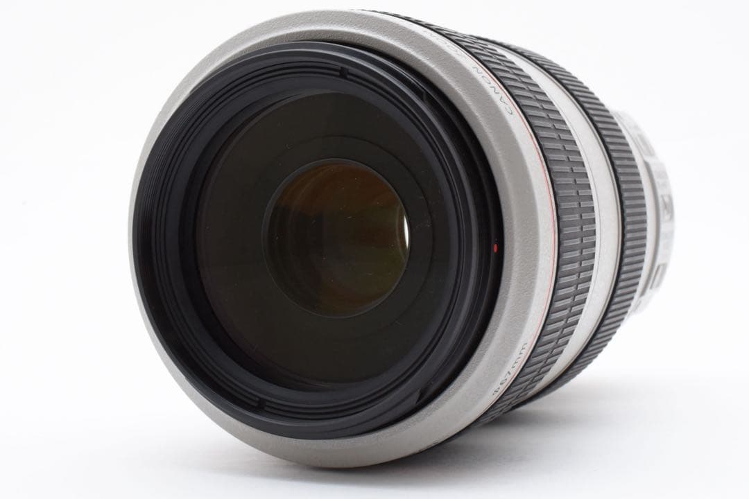 キヤノン CANON EF 70-300mm F4-5.6 LIS USM