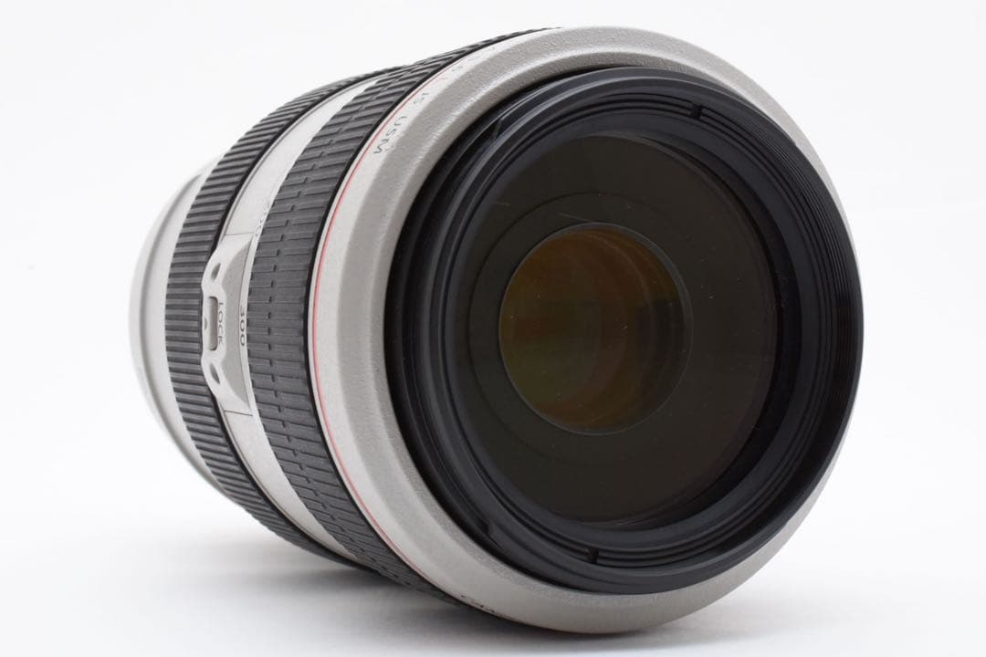 キヤノン CANON EF 70-300mm F4-5.6 LIS USM