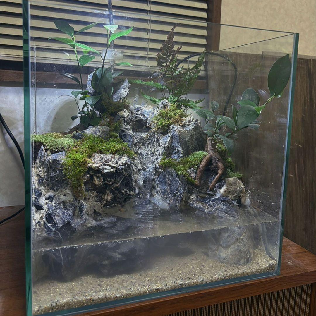 滝の流れるアクアテラリウム　No.1142