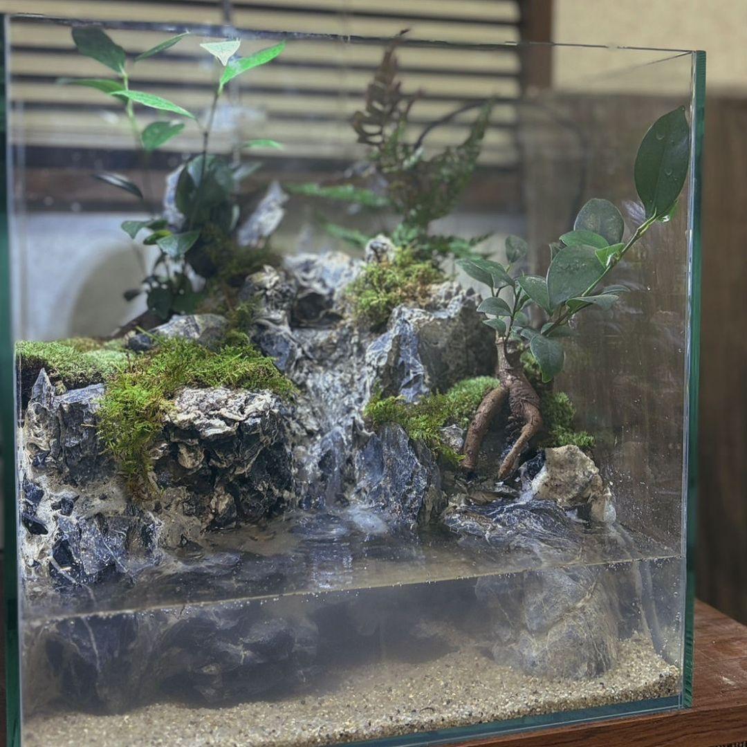 滝の流れるアクアテラリウム　No.1142