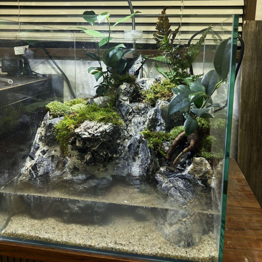 滝の流れるアクアテラリウム　No.1142
