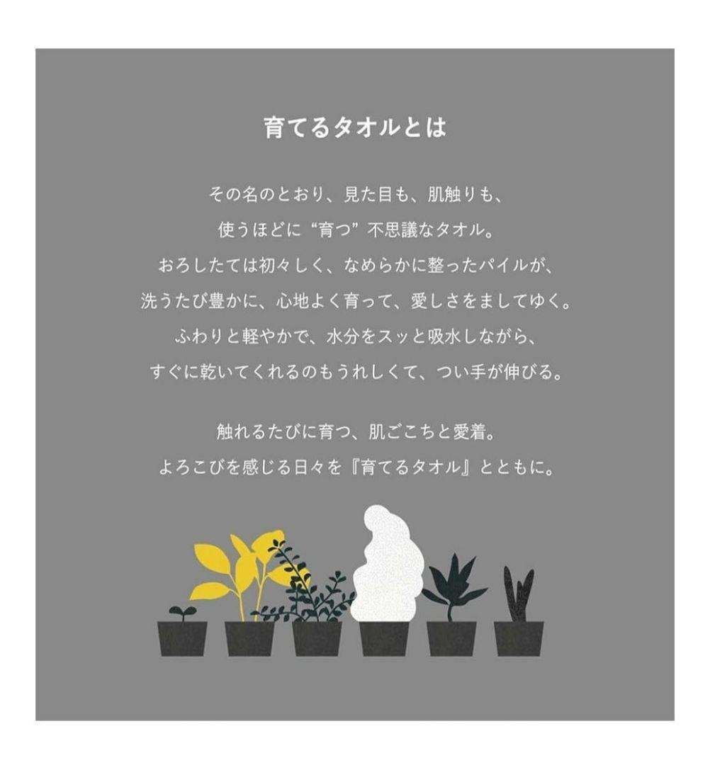 【ギフトボックス付】育てるタオル「feel」バスタオルペアセット