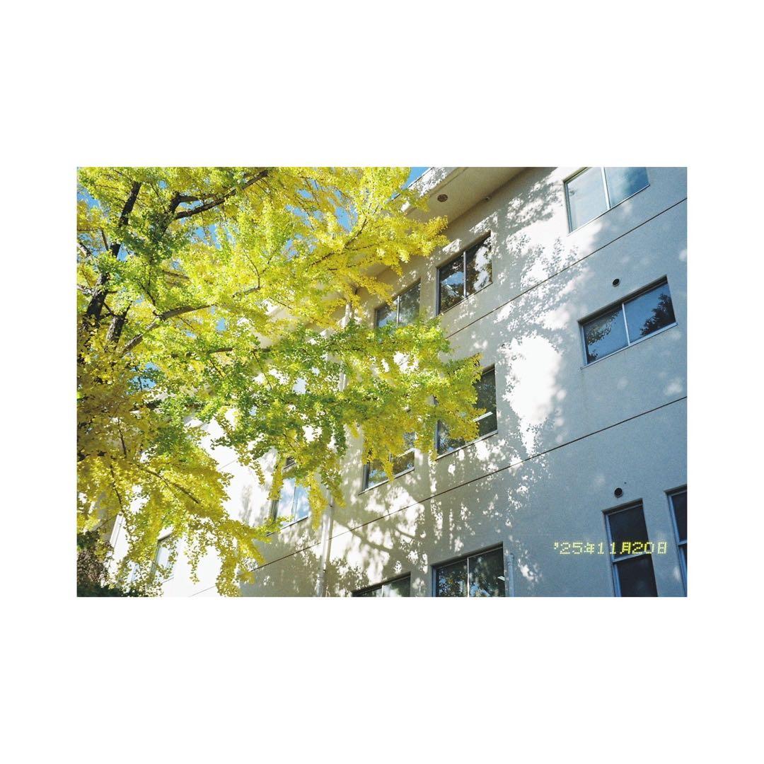 ⌘完動品！ 電池付、作例あり！ Canon Autoboy Luna 105S⌘