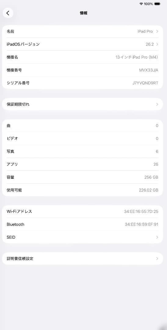 本日限定！＜美品＞M4 iPad Pro 13インチ　シルバー 256GB