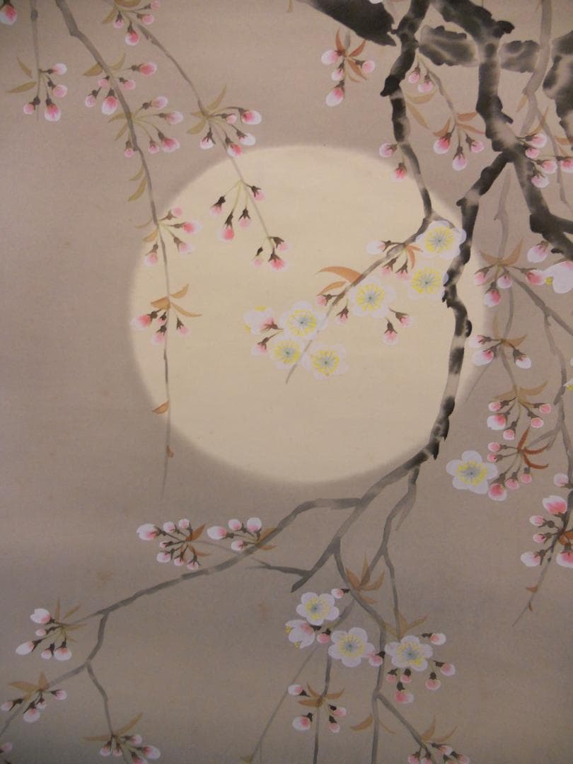 掛け軸 卓泉 夜桜 絹本 希少 軸装 茶道具 掛軸 美品 です。