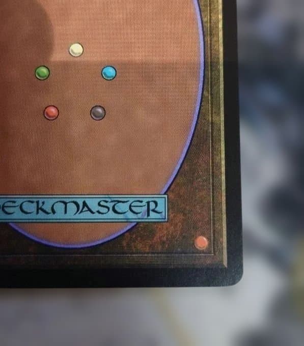 MTG グルランド《平地》サインド