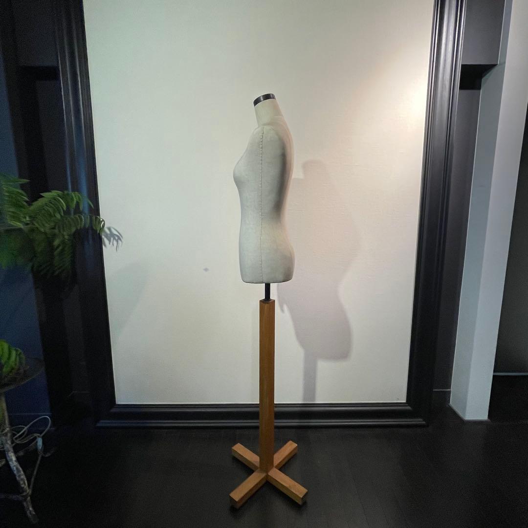 レディーストルソー