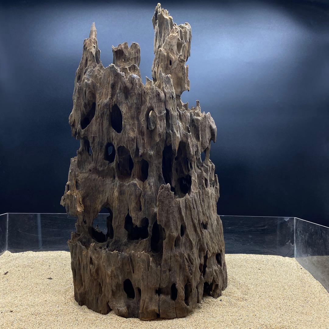 MMW-6273 特大マシンガンウッド　自立一点物　流木　アクアリウム