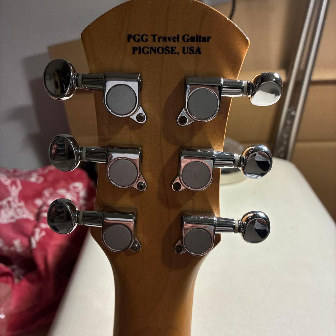 ピグノーズPGG200 サンバースト