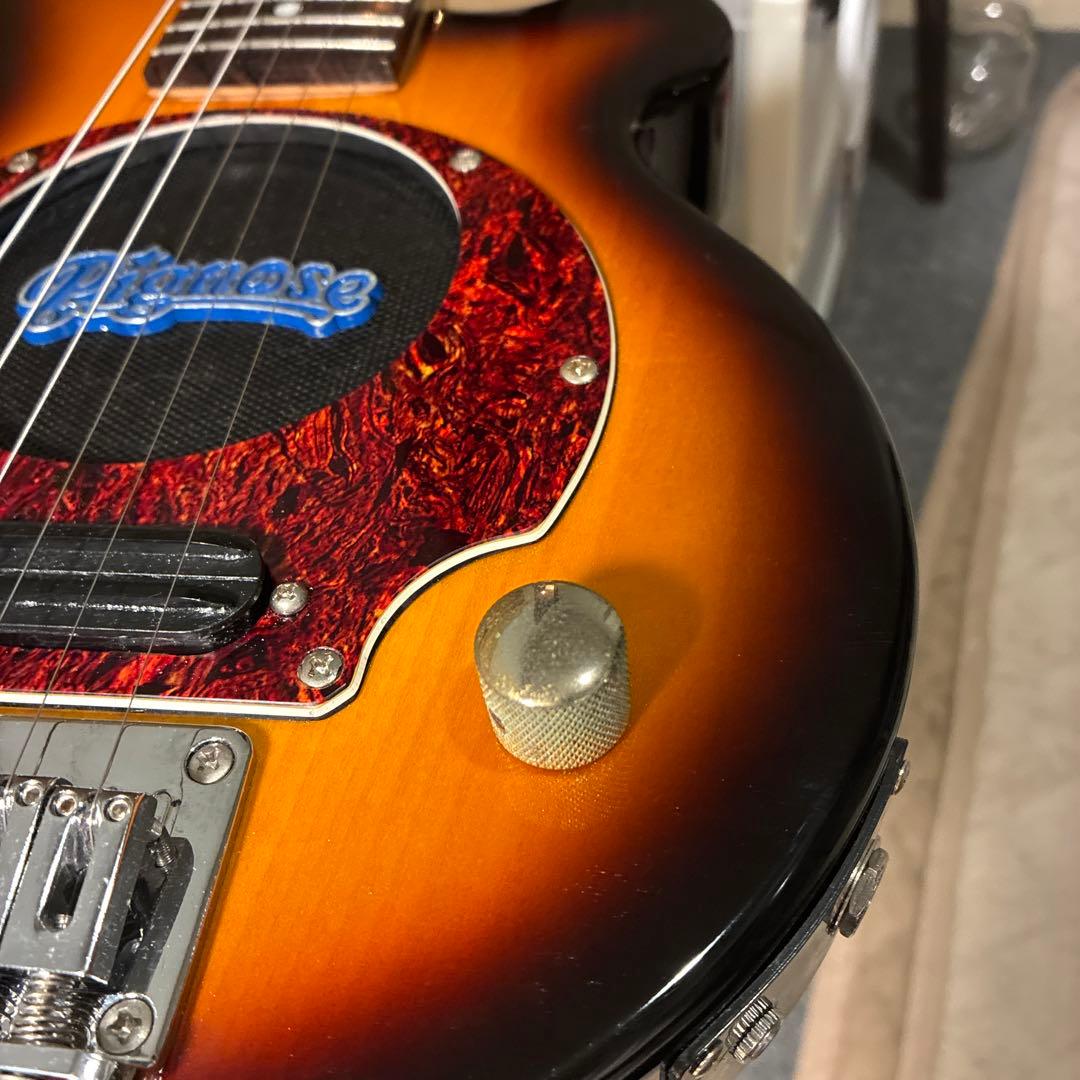 ピグノーズPGG200 サンバースト