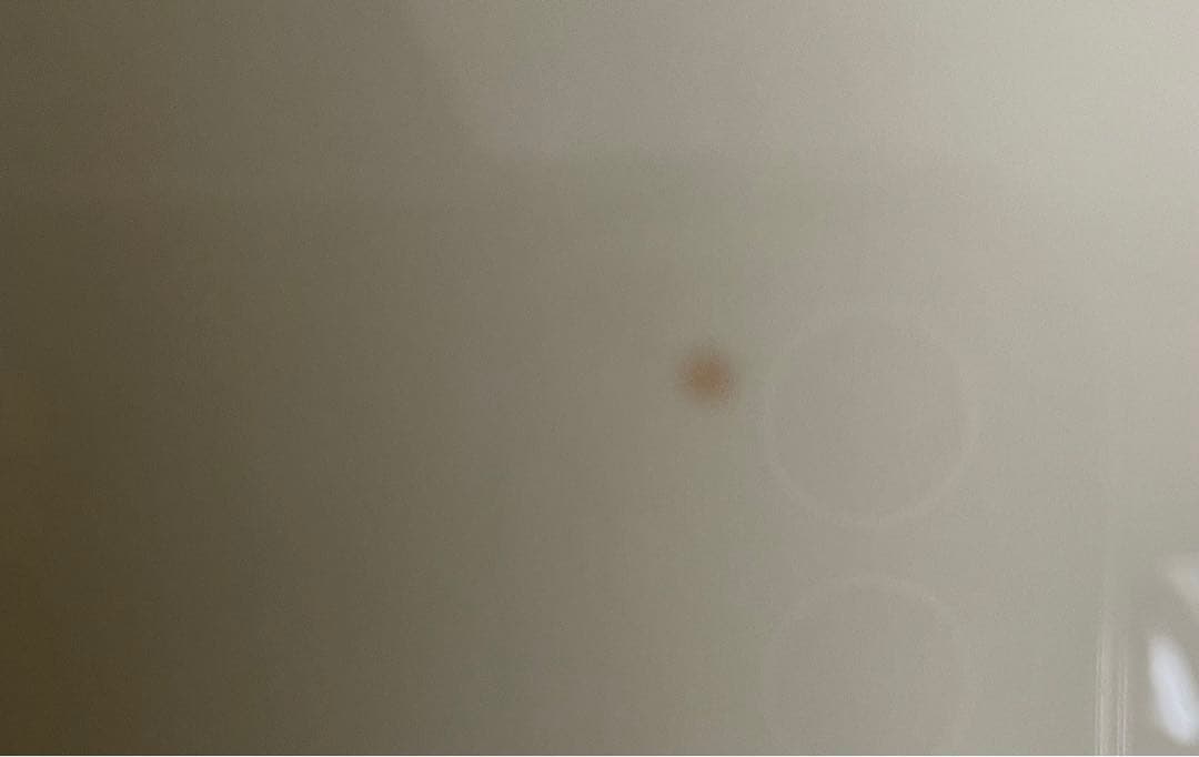 【激レア】【最終値下げしました！！】スヌーピー　エッチング　銅版画