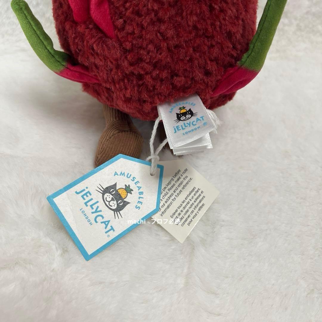  Amuseables Dragon Fruitドラゴンフルーツ