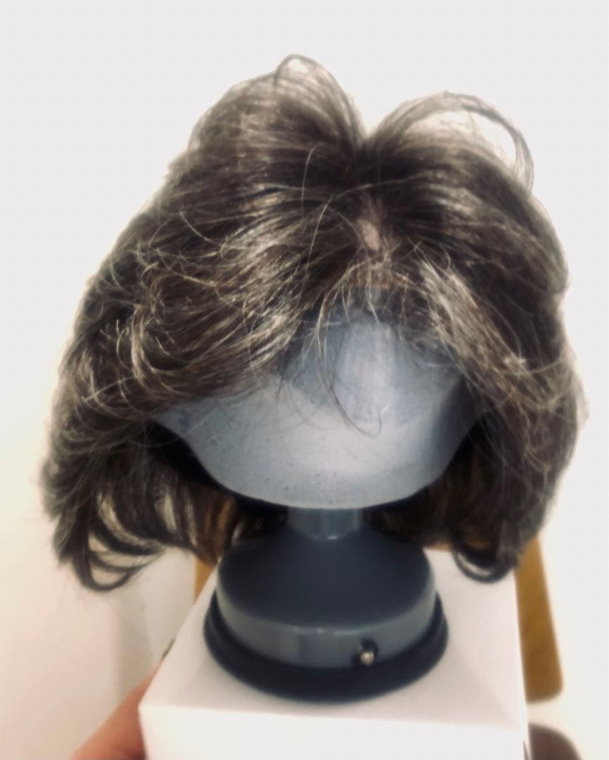 NAO-ART グレー ショートウィッグ