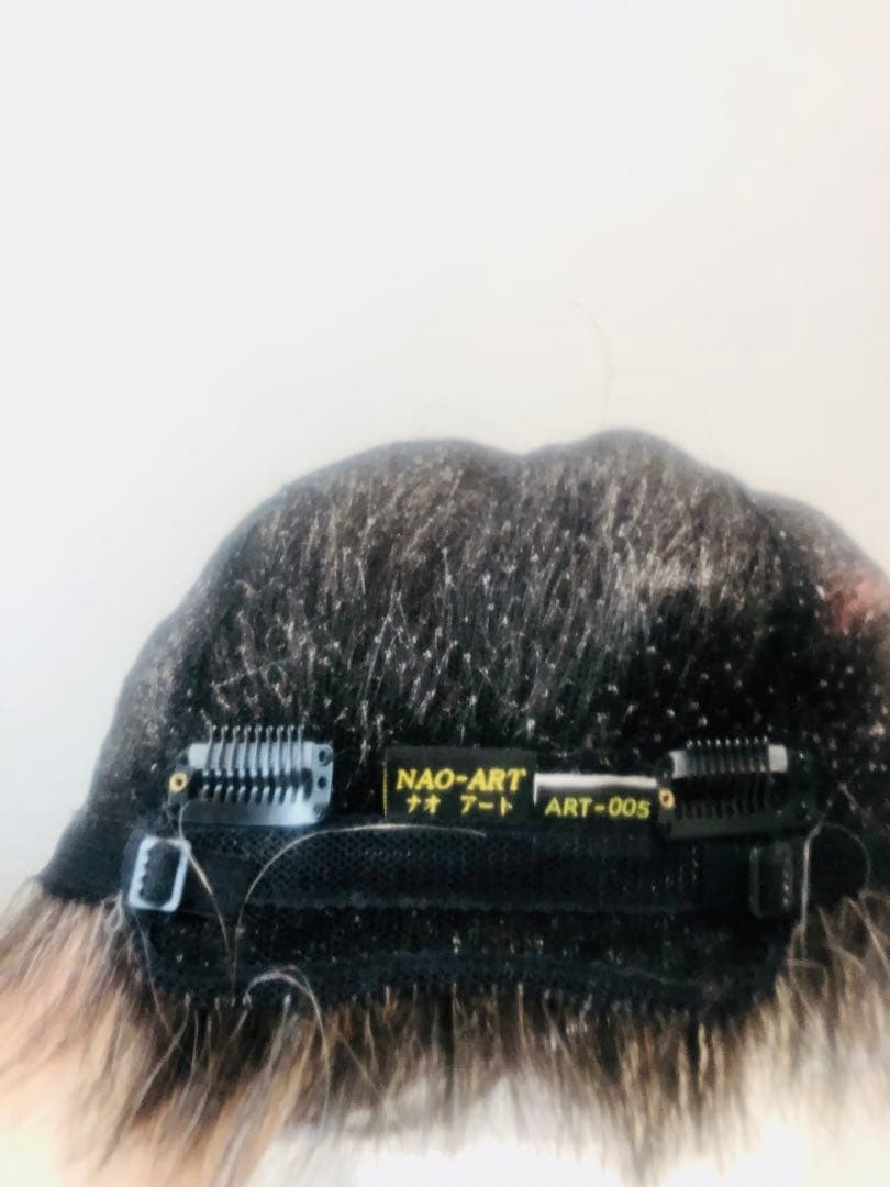 NAO-ART グレー ショートウィッグ