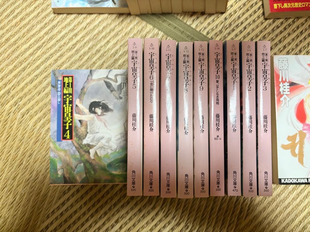 宇宙皇子 天上編、妖夢編、地上編　全10巻 煉獄編 1巻〜8巻・10巻　藤川桂介
