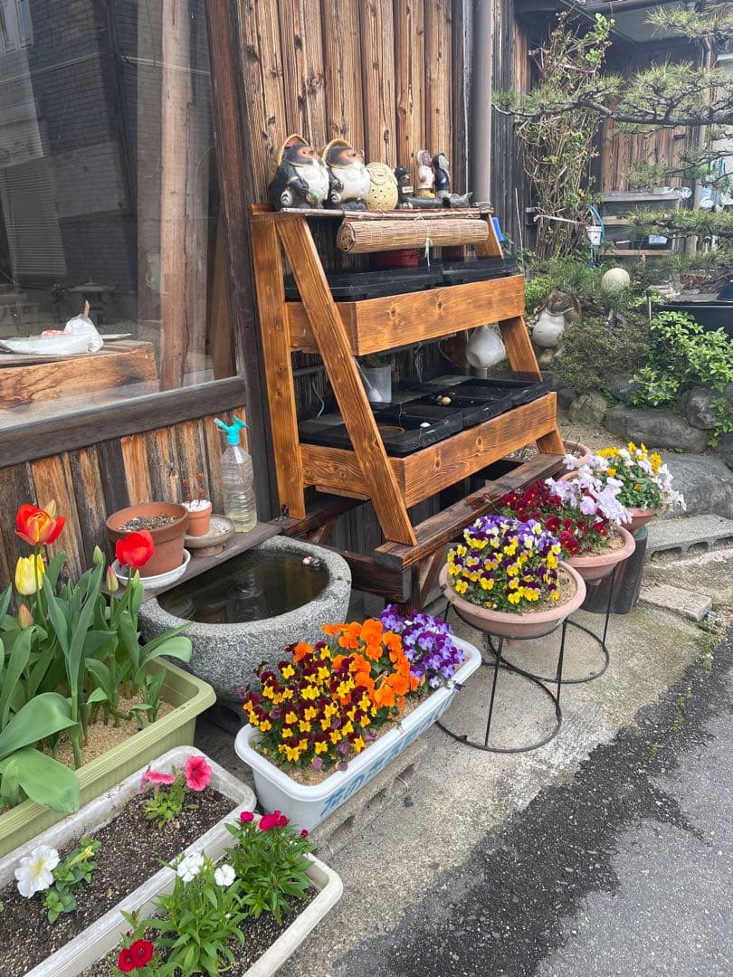 メダカ飼育ラック中　ケース付