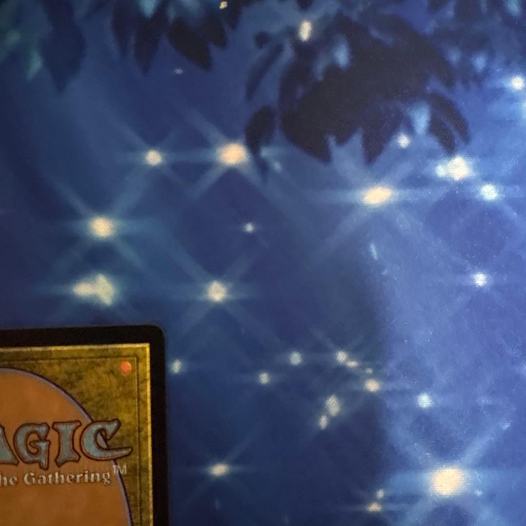 マジックザギャザリング　ユウナのガード、ティーダ　ボーダレス　サージfoil