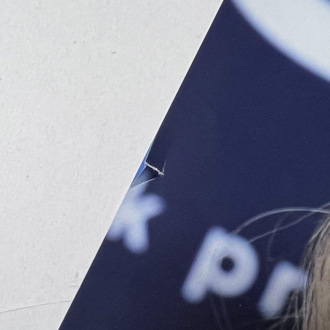 サブリナカーペンターsabrinacarpenter公式グッズ・雑誌INROCK