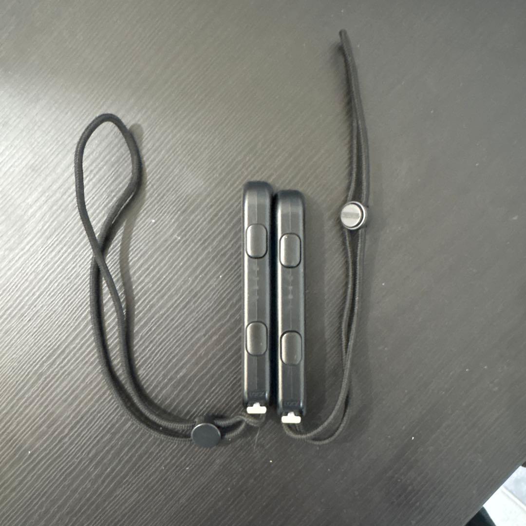 Switch 本体 最初期モデル グレー 付属品有