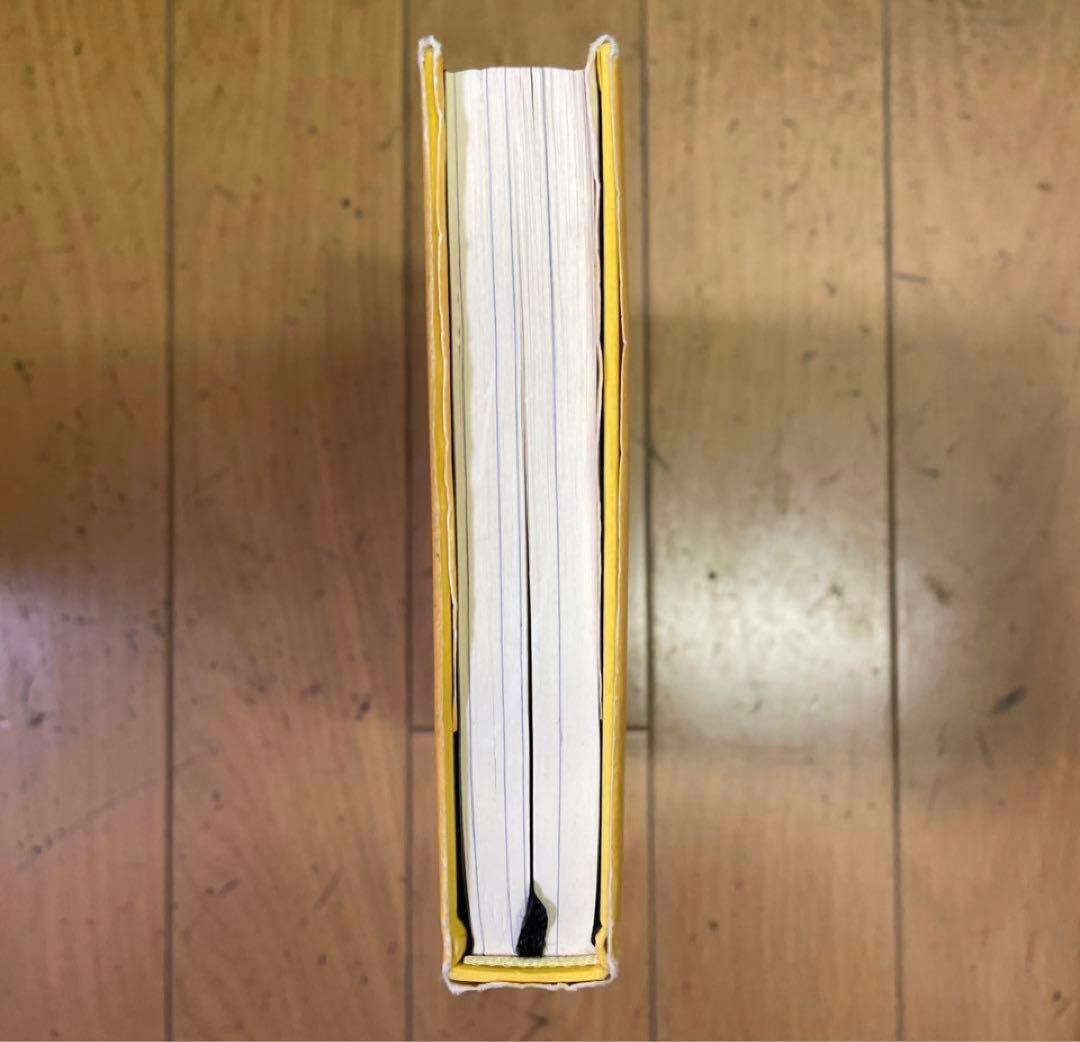 ❣️トランサーフィン 2 ‼️ヴァジム・ゼランド❣️