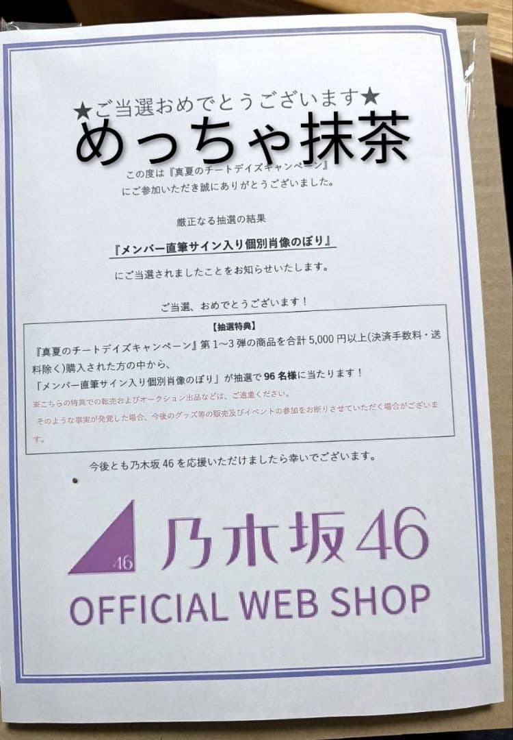 乃木坂46 真夏の全国ツアー2024 サイン入り個別肖像のぼり 井上和
