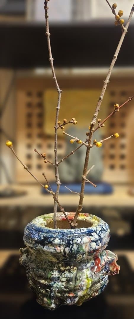 水指　マルチカラー