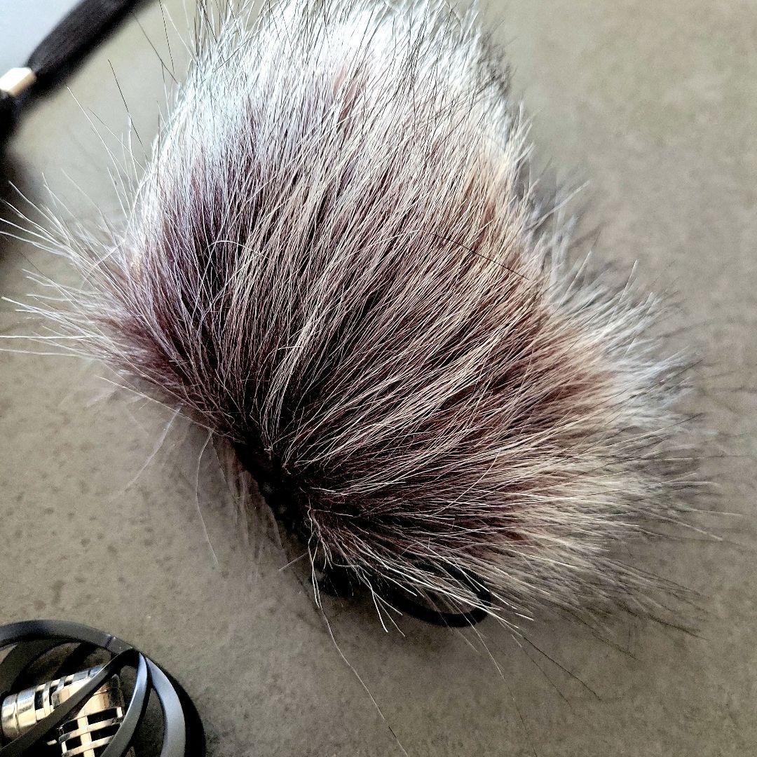 Zoom H1n ハンディレコーダー ウィンドジャマー付き