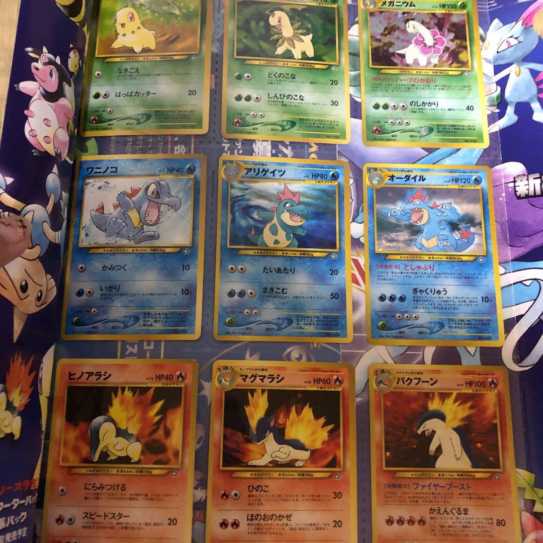 【匿名発送】ポケパーク　限定　ポケモンカードneo金銀