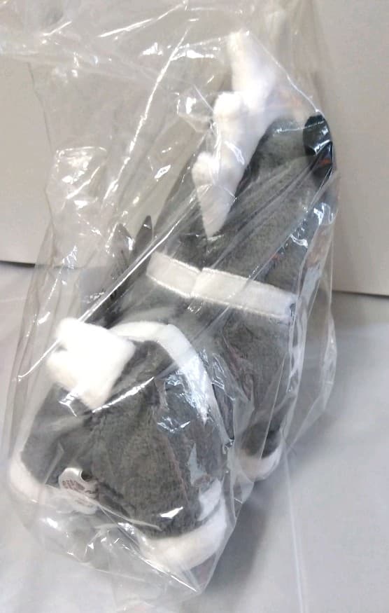 ポケモン　ぬいぐるみ　シママ　ポケモンドールズ　202307092103