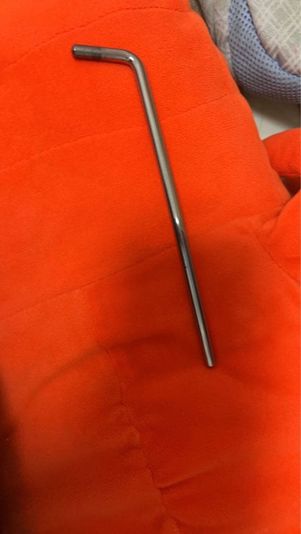 スタインバーガー spirit