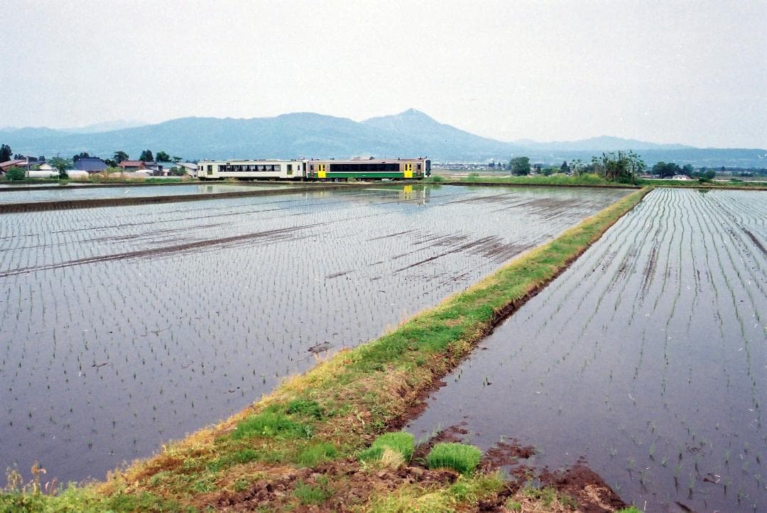【実写確認整備品】オリンパスOM10／G・ZUIKO35mmf2.8純正フード付