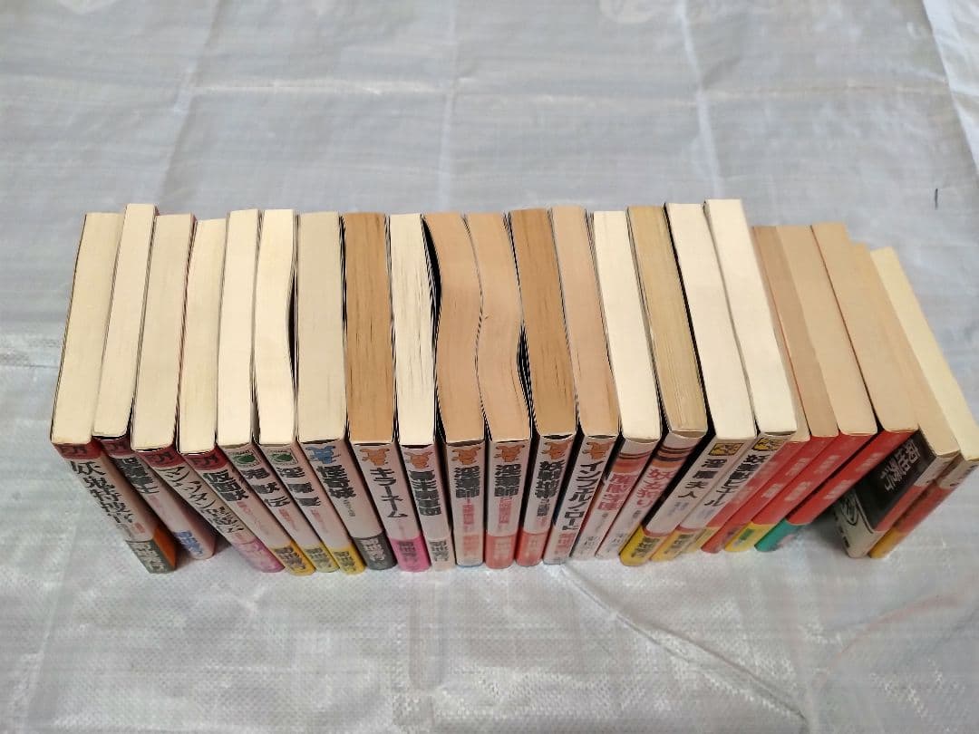 【レア】菊地秀行　妖魔シリーズなど 文庫本　23冊セット