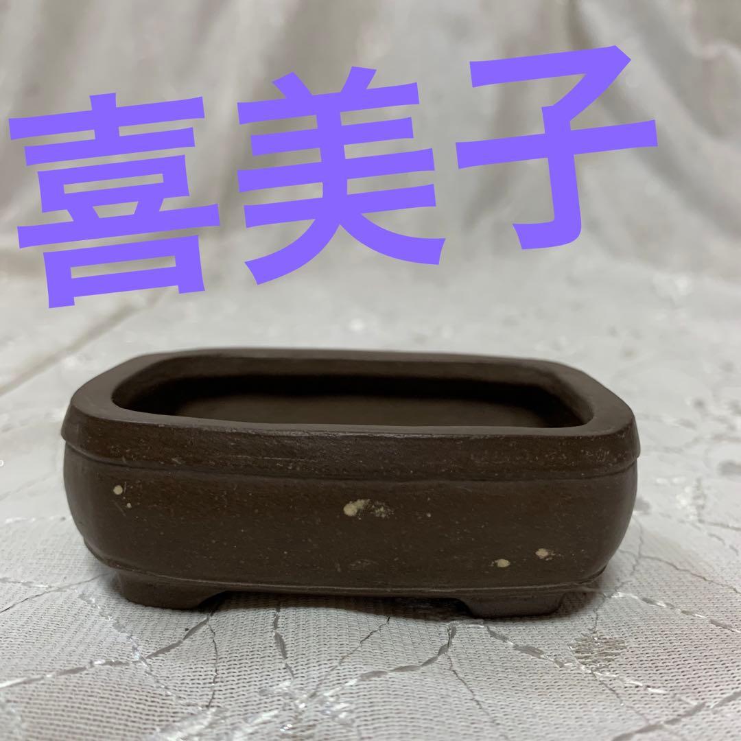 松栄喜美子　盆栽鉢　長方