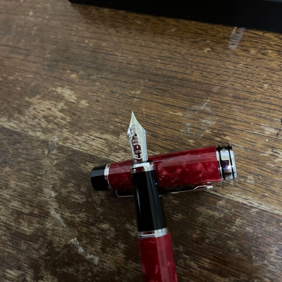 【美品・廃盤】パイロット万年筆　レガンス　字幅F