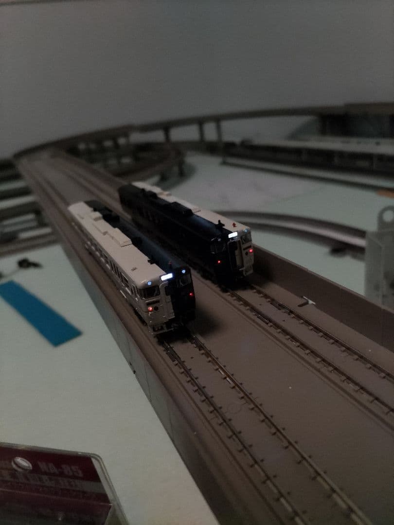 指宿のたまて箱　2両編成