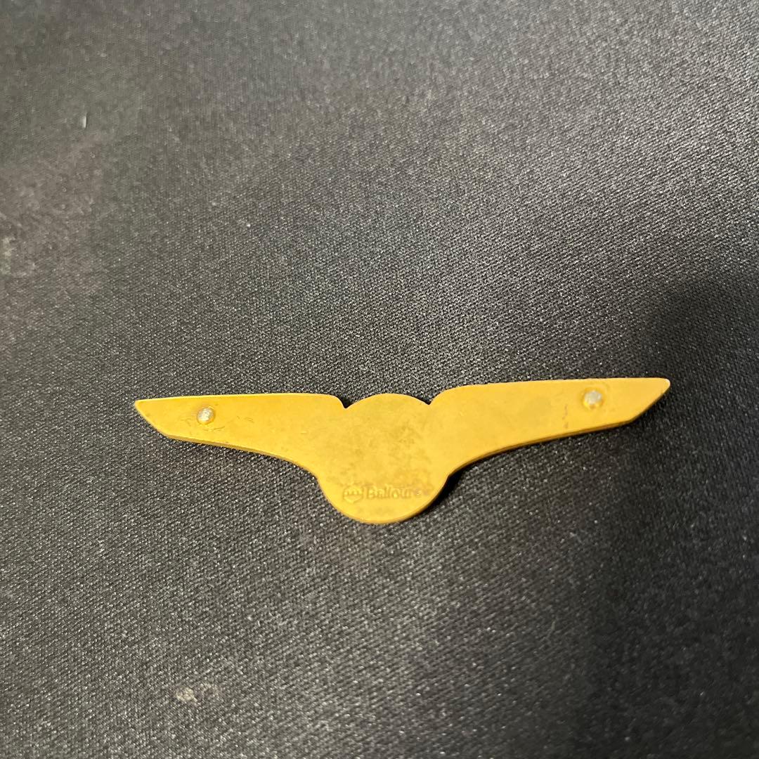 PAN AM ウイング型バッジ 当時レア 貴重