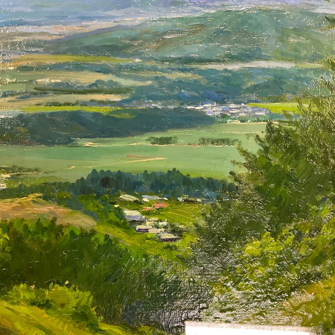 佐間田敏夫　「沖縄多野岳中腹より」　F8号　一枚の絵　古径額