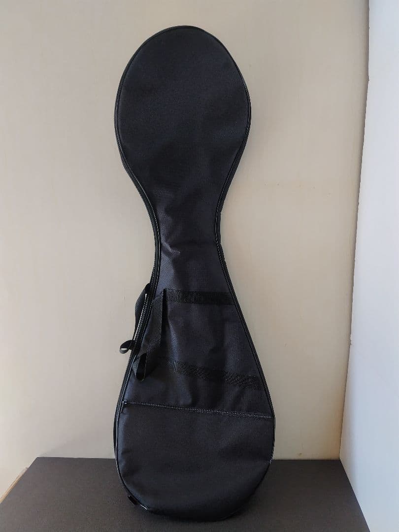 中国琵琶、ケース、弦、DVD