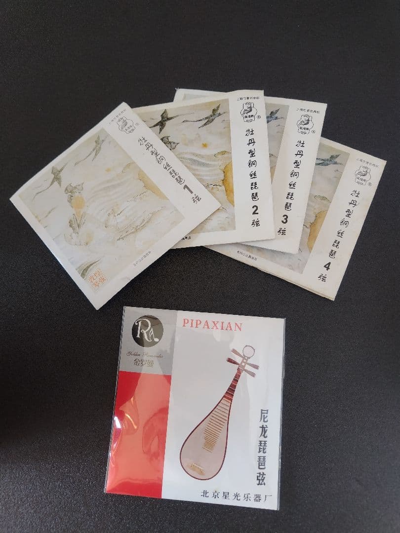 中国琵琶、ケース、弦、DVD