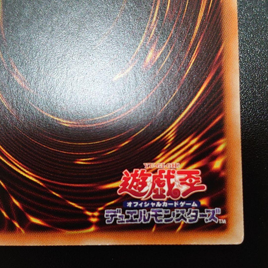 真紅眼の黒竜 ホロ