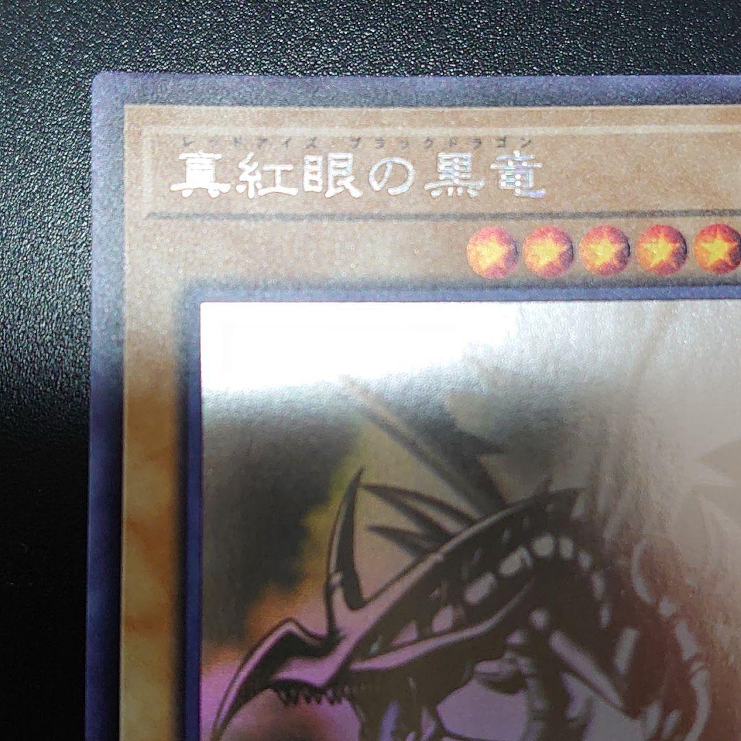 真紅眼の黒竜 ホロ