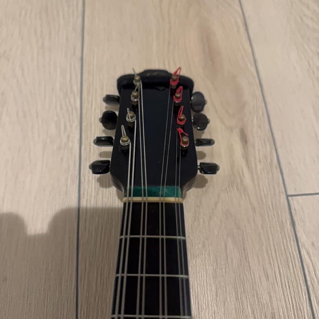 弦楽器 FORNITORI DELLA REAL CASA