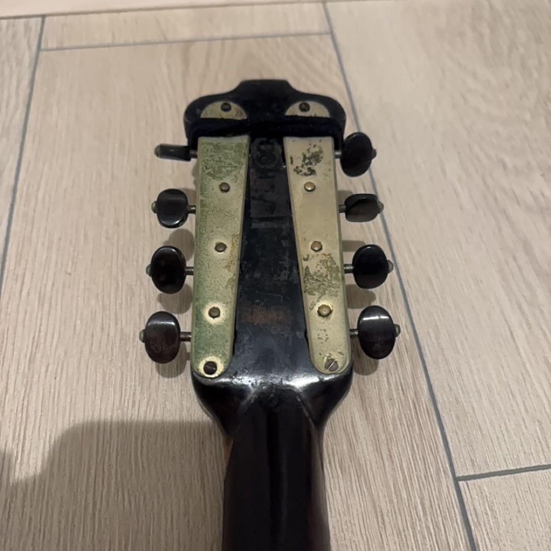 弦楽器 FORNITORI DELLA REAL CASA